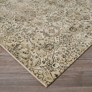 Couristan Easton Winslet Beige/Black Area Rug Close Up Image