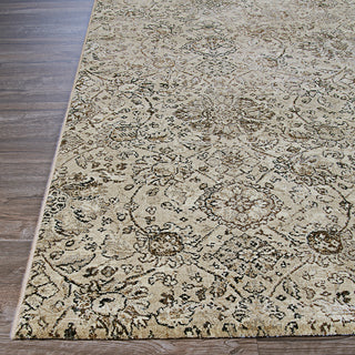 Couristan Easton Winslet Beige/Black Area Rug Corner Image