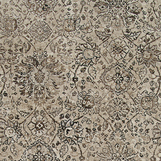 Couristan Easton Winslet Beige/Black Area Rug Pile Image