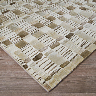 Couristan Easton Surrey Bone/Earthtones Area Rug Close Up Image