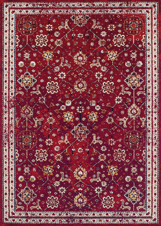 Couristan Vintage Bijar Claret Area Rug main image