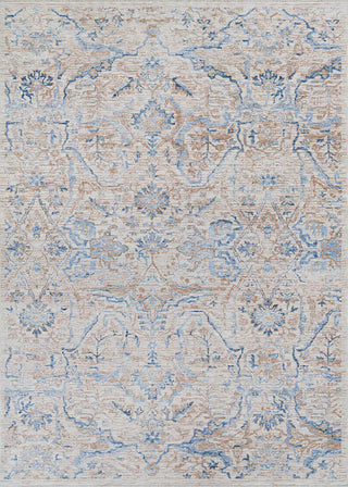 Couristan Couture Ballerine Burnished Gold/Denim Area Rug main image