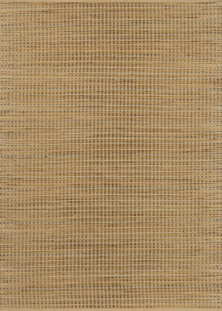 Couristan Nature's Elements Earth Bleach Sand/Multi Area Rug