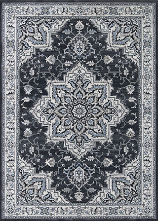 Couristan Sultan Treasures Harish Charcoal Area Rug main image