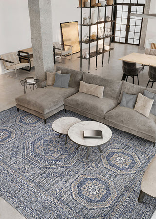 Couristan Savoy Abadeh Denim Area Rug Lifestyle Image Feature