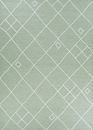 Couristan Timber Orion Herb Green Area Rug main image