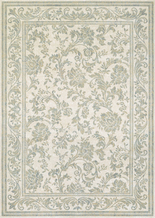 Couristan Provincia Lakely Dew Area Rug