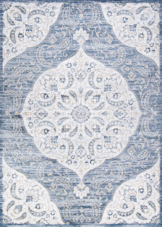 Couristan Nirvana Wellington Greystone Area Rug main image