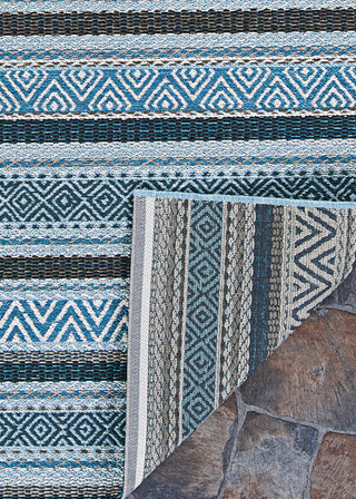 Couristan Cape Cobija Azul Area Rug Main
