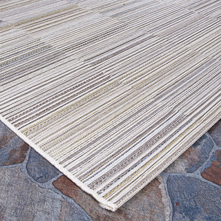 Couristan Cape Ivory/Charcoal Area Rug Close Up Image