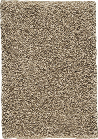 Capel Elation 3041 Oats Area Rug main image