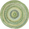Capel Ocracoke 0425 Pale Green 225 Area Rug 