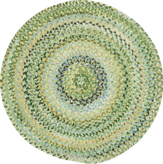 Capel Ocracoke 0425 Pale Green 225 Area Rug 