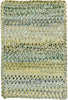Capel Ocracoke 0425 Pale Green 225 Area Rug 