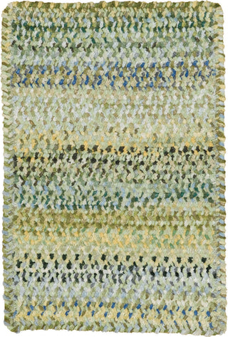 Capel Ocracoke 0425 Pale Green 225 Area Rug 