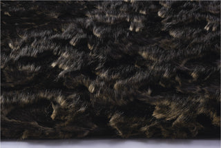 Capel Cozy Shag 2039 Coal Area Rug main image