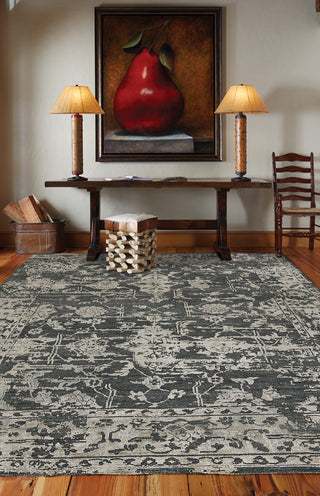 Capel Jain 1201 Coal Area Rug main image