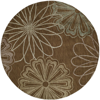 Momeni Sensations SEN-2 Brown Area Rug 