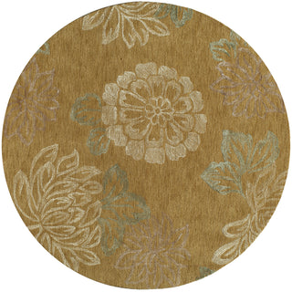 Momeni Sensations SEN-3 Gold Area Rug 