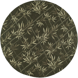 Momeni Veranda VR-04 Green Area Rug Close up