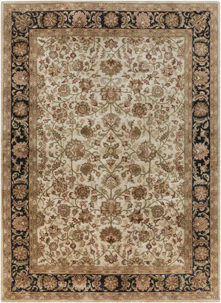 Surya Ancient Treasures A-116 Beige Area Rug 8' X 11'