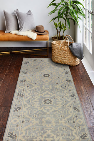 Bashian Artifact A154-AR109 Area Rug Runner Room Scene Feature