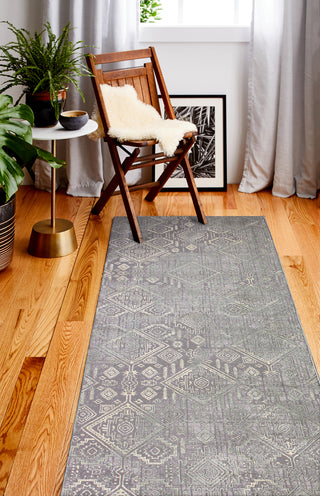 Bashian Amalfi A160-PRS101 Grey Area Rug