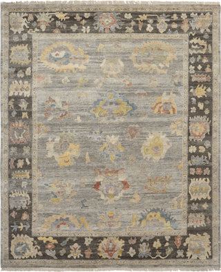 Ancient Boundaries Aquilla AQU-05 Grey Flannel/Bark Area Rug main image