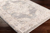 Surya Aida AAD-2300 Taupe Area Rug Corner Shot