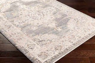 Surya Aida AAD-2300 Taupe Area Rug Corner Shot