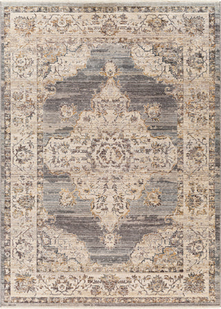 Surya Aida AAD-2300 Taupe Area Rug main image