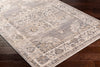 Surya Aida AAD-2301 Taupe Area Rug Corner Shot
