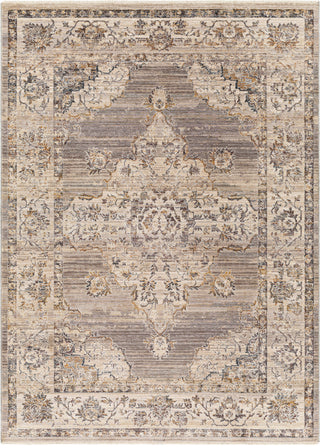 Surya Aida AAD-2301 Taupe Area Rug main image