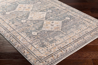 Surya Aida AAD-2305 Taupe Area Rug Corner Shot
