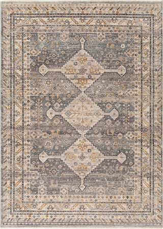 Surya Aida AAD-2305 Taupe Area Rug main image