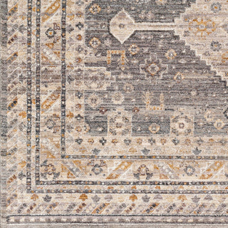 Surya Aida AAD-2305 Taupe Area Rug Swatch