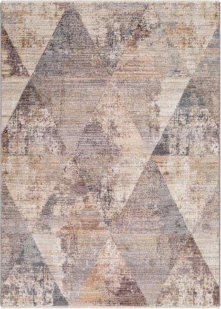 Surya Aida AAD-2308 Area Rug main image