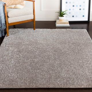 Surya Alaska Shag AAS-2300 Area Rug Room Image Feature