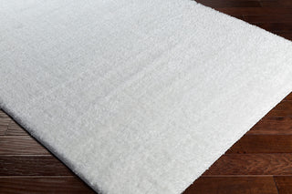 Surya Alaska Shag AAS-2301 Area Rug Corner Image
