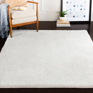 Surya Alaska Shag AAS-2301 Area Rug Room Image Feature