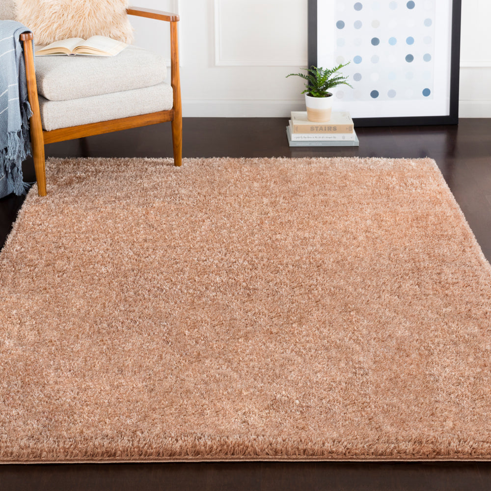 Surya Alaska Shag AAS-2303 Area Rug Room Image Feature