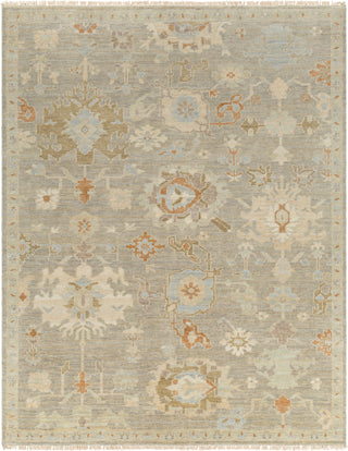 Surya Antalya AAT-2300 Area Rug main image