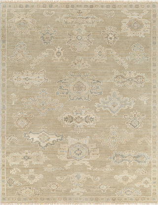 Surya Antalya AAT-2305 Area Rug main image