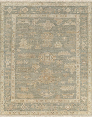 Surya Antalya AAT-2306 Area Rug main image