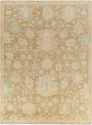 Surya Antalya AAT-2309 Area Rug main image