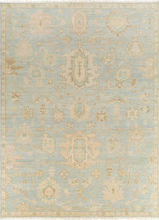 Surya Antalya AAT-2310 Area Rug main image