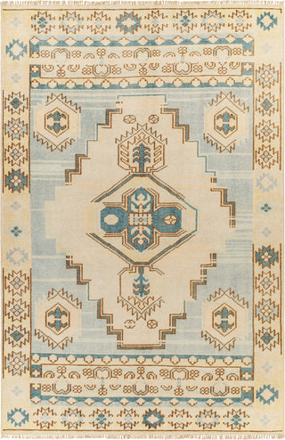 Surya Anadolu AAU-2300 Area Rug main image