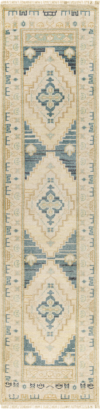 Surya Anadolu AAU-2301 Area Rug 2'6"x10'