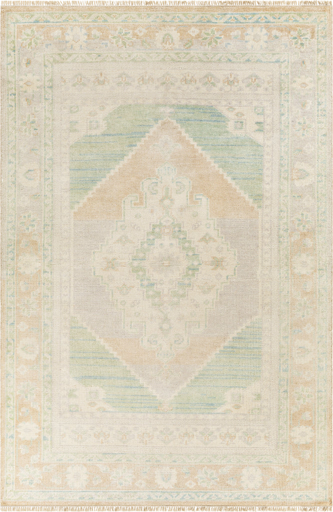 Surya Anadolu AAU-2303 Area Rug main image
