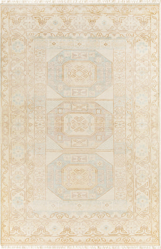 Surya Anadolu AAU-2304 Area Rug main image